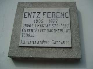 Sümeg, Panteonfal. Entz Ferenc.jpg Sümeg, Panteonfal. Entz Ferenc.jpg